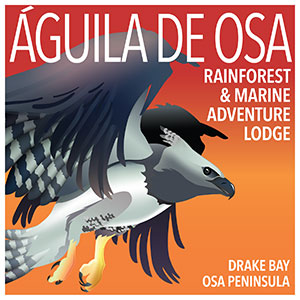Aguila De Osa Costa Rica