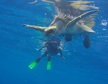 Snorkeling with a turtle Cano island