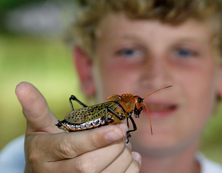 Kid friendly jungle tours