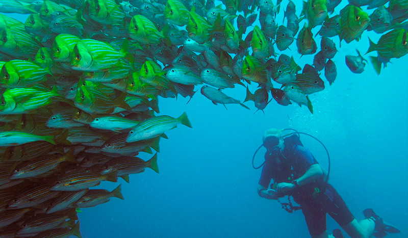 Scuba diving Cano island Costa Rica