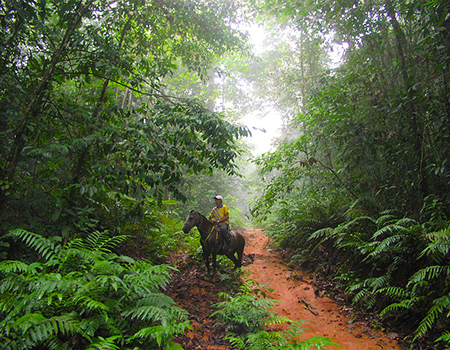 Horseback riding Costa Rica jungle