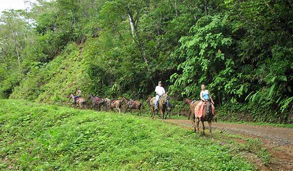 Horseback riding the Osa jungle