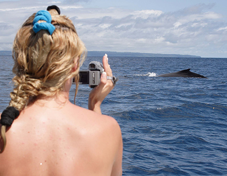 Whale watching tour in Osa Peninsula, Costa Rica