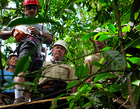 Zipline the jungle canopy