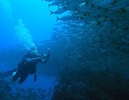 Caño Island Scuba Adventure