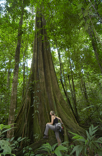 Rainforest hiking Corcovado Costa Rica