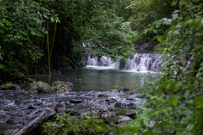 Corcovado waterfall hiking