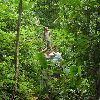 Hike the Corcovado Jungle Costa Rica