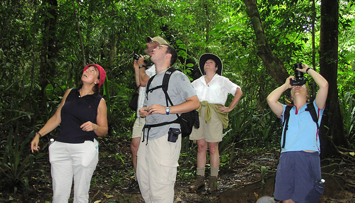 Bird watching Aguila de Osa