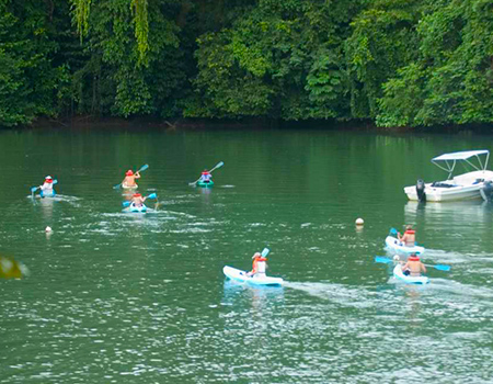 Kayaking tours the Osa Peninsula